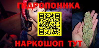 СК Краснодар