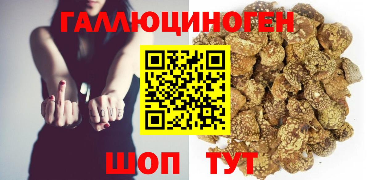 Псилоцибиновые грибы Psilocybine cubensis  Вход с VPN  Долгопрудный 